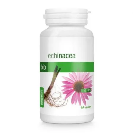 Echinacea bio, 120 capsule, Purasana