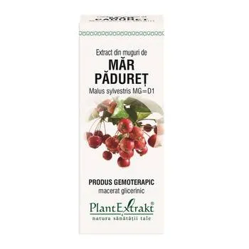 Extract din muguri de Mar Paduret, 50ml, Plantextrakt