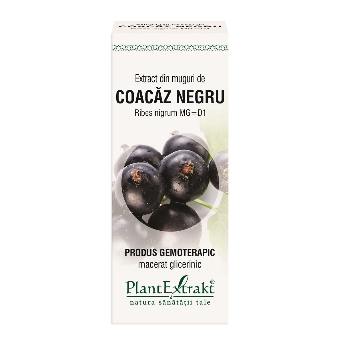Extract din muguri de coacaz negru, 50 ml, PlantExtrakt