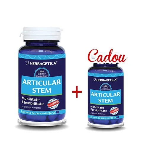 Articular Stem x 60+10cps (Herbagetica)