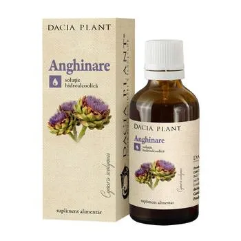 Tinctura de anghinare, 50ml, Dacia Plant