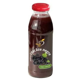 Nectar de coacaze negre, 300 ml, Dacia Plant