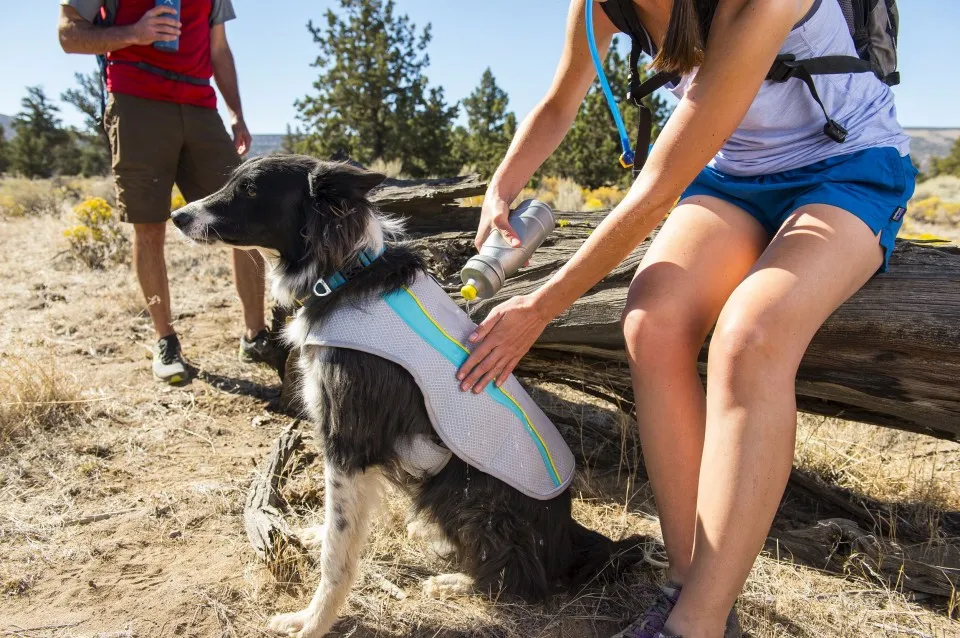 Vesta racire - Ruffwear - Swamp Cooler - gri