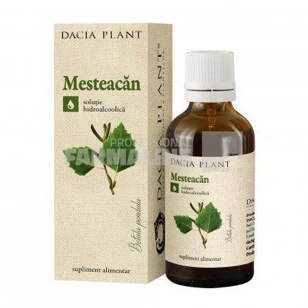Tinctura de Mesteacan solutie hidroalcoolica 50 ml
