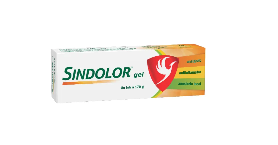 Sindolor gel 170 g, Fiterman