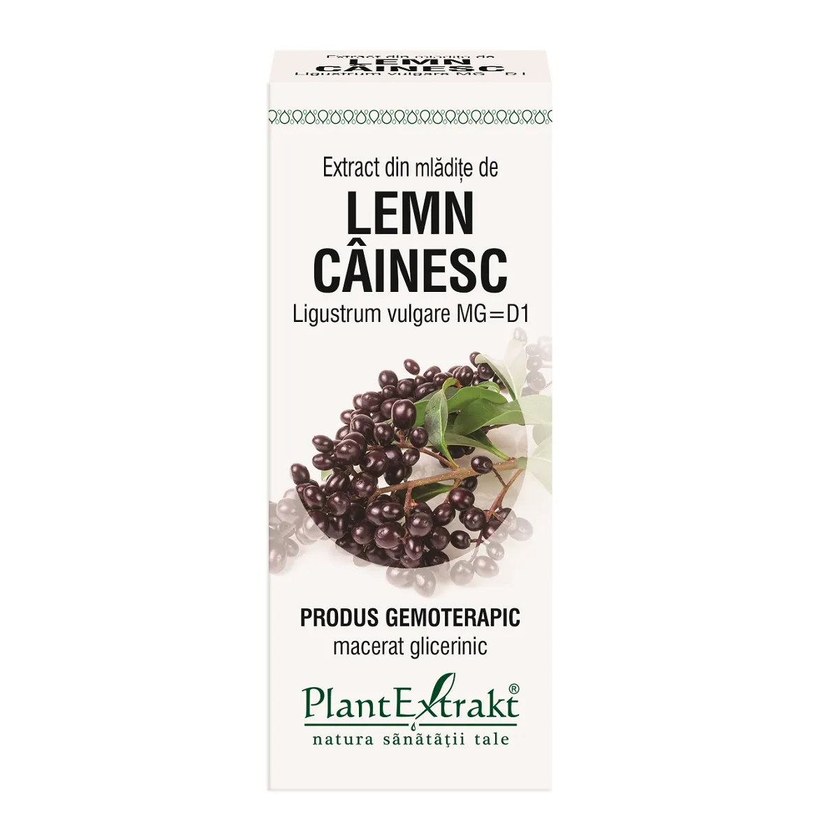 Extract din mladite de lemn cainesc, 50 ml, Plantextrakt
