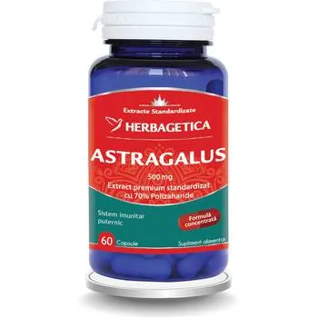 Astragalus 500mg cu 70% Polizaharide, 60 capsule, Herbagetica