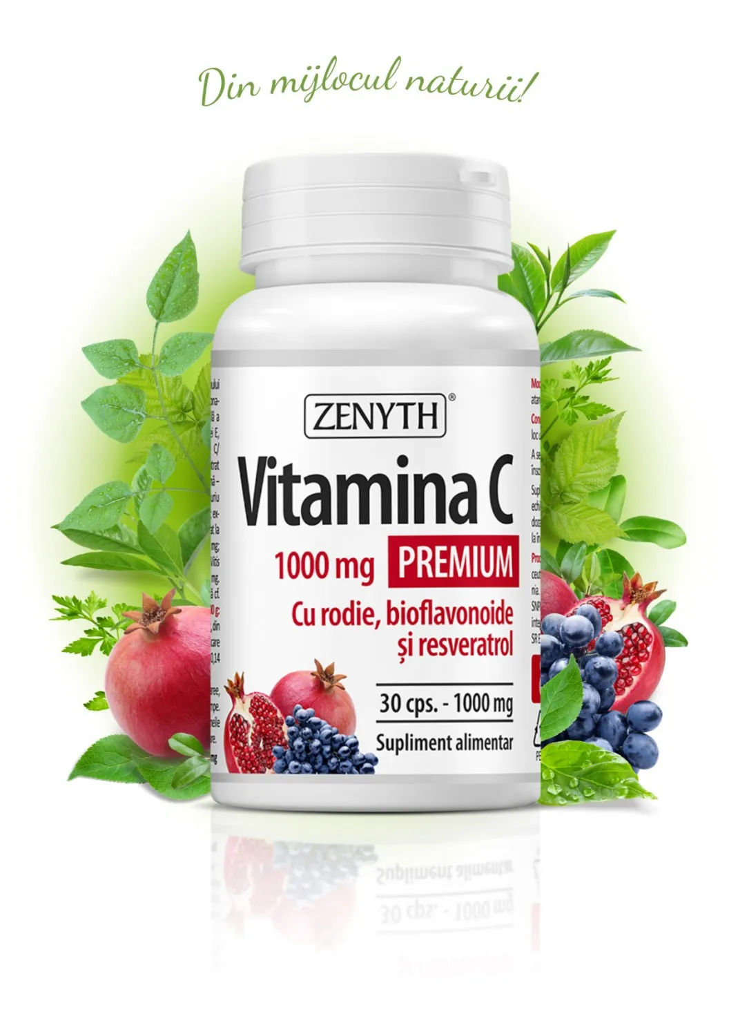 Vitamina C 1000mg Prem Rodie 60cps(Zenyt