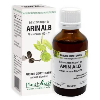 Extract din muguri de arin alb , 50 ml, Plantextrakt