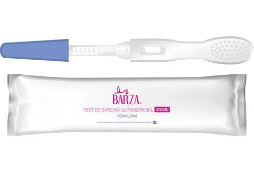 BARZA TEST SARCINA STILOU