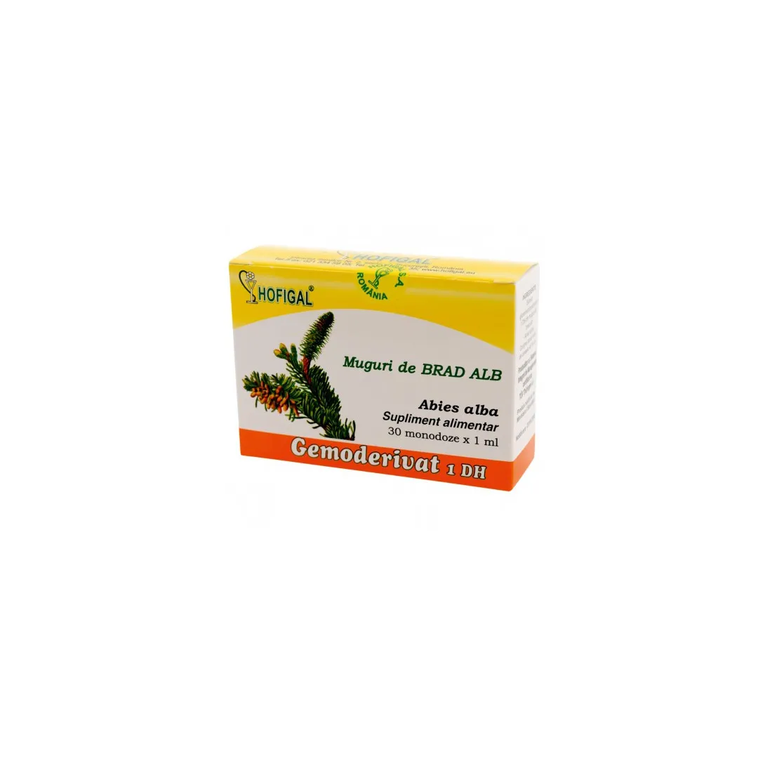 Muguri de brad alb Gemoderivat 1DH, Hofigal