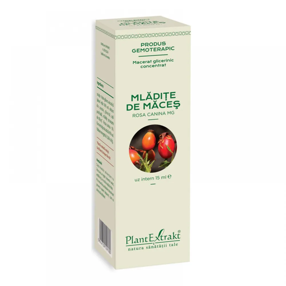 Macerat glicerinic concentrat din mladite de maces - Rosa Canina (15ml), Plantextrakt