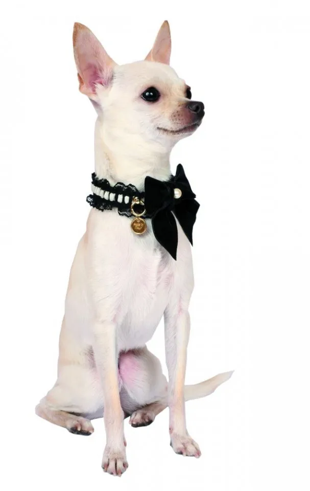Zgarda Lady Oscar - 25cm - Negru