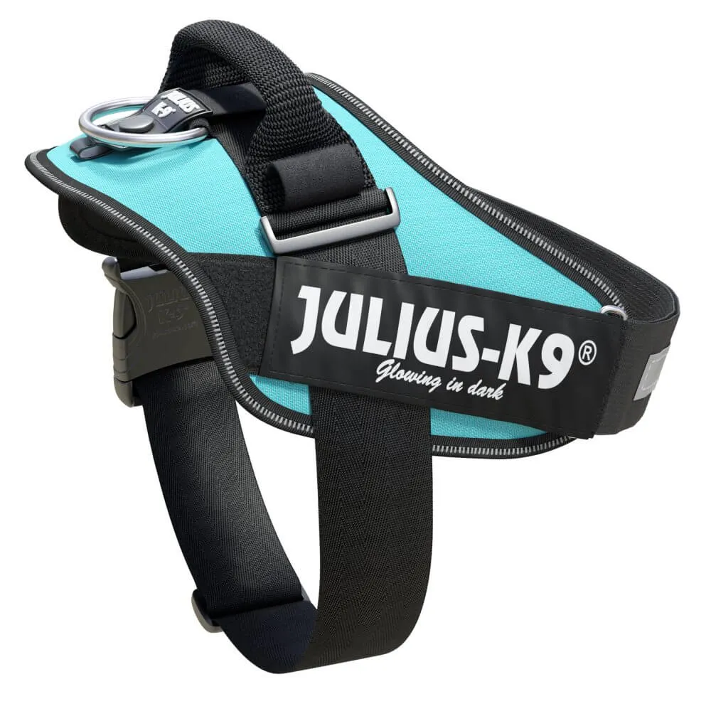 Ham JK9 IDC Power - L - Aquamarine
