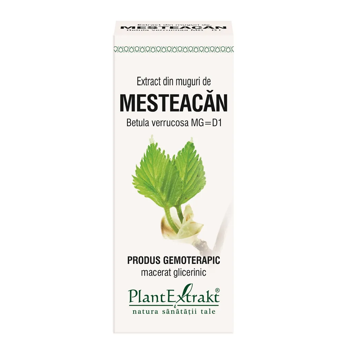 Extract din muguri de mesteacan, 50 ml, Plantextrakt