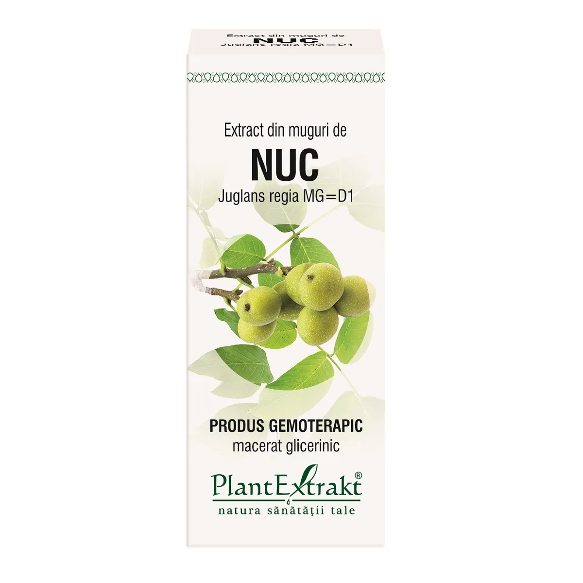 Extract din muguri de nuc, 50 ml, Plantextrakt