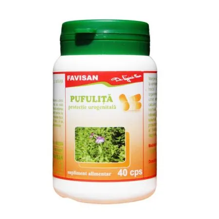 Pufulita, 40 capsule, Favisan