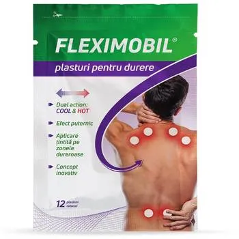 Fleximobil plasturi pentru durere, 12 bucati, Fiterman