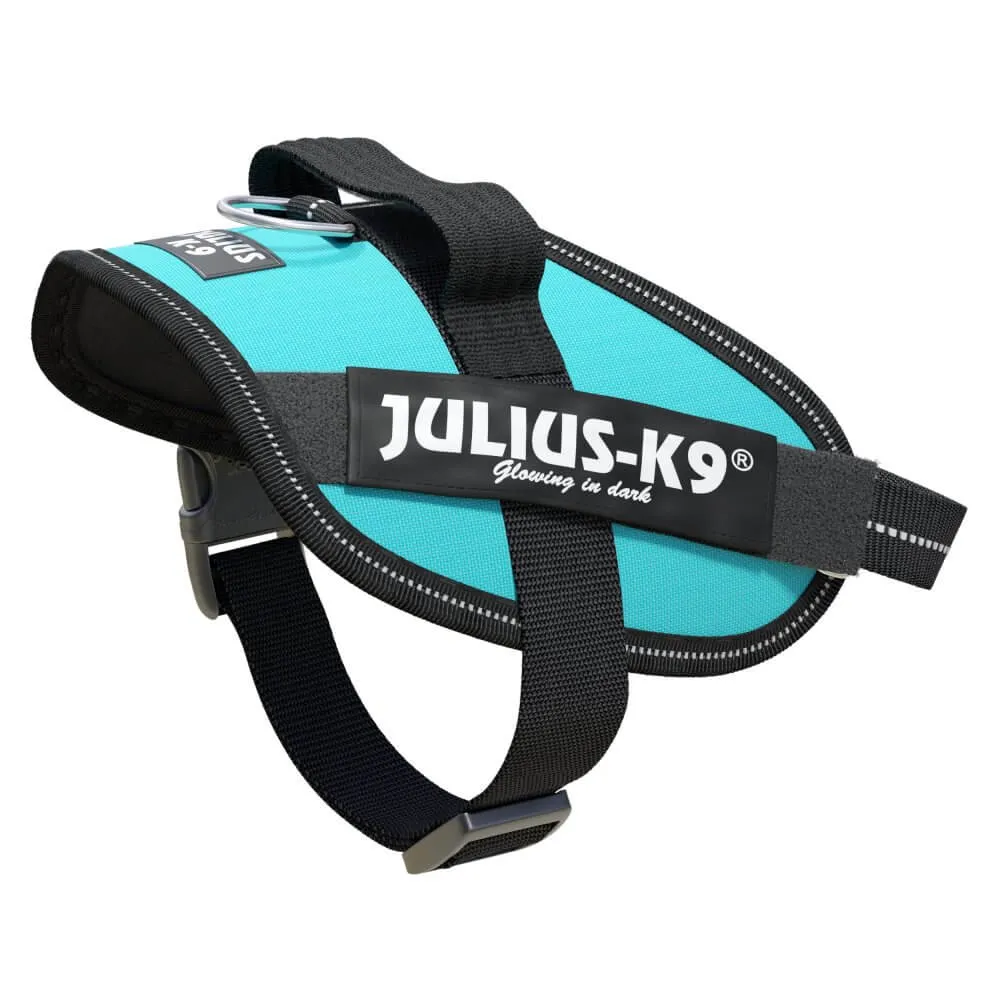 Ham JK9 IDC Power - XS - Aquamarine
