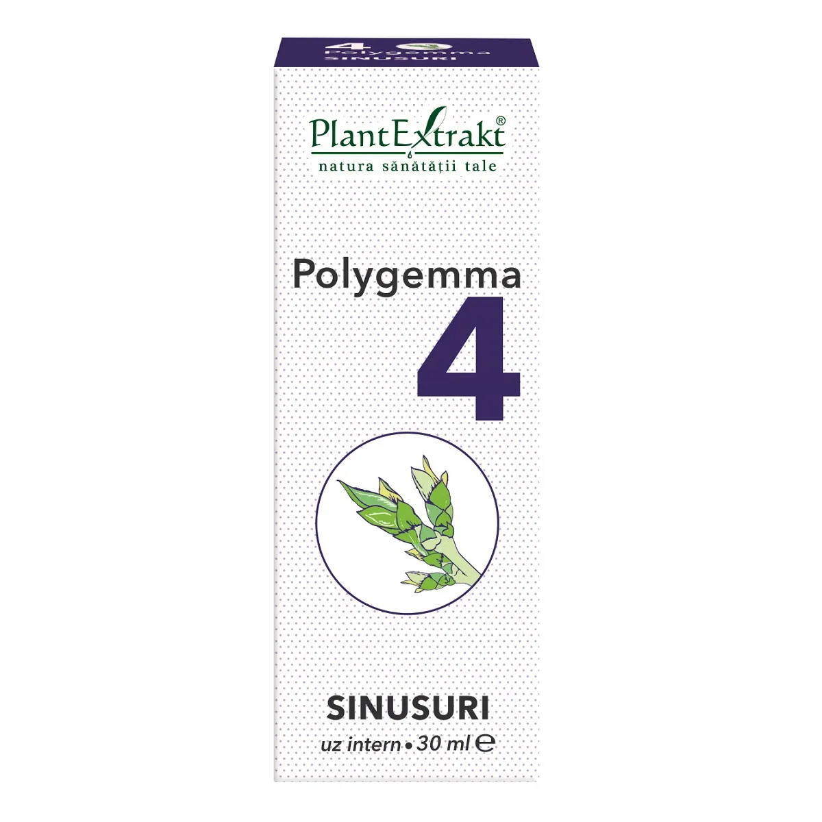 Polygemma 4 Sinusuri, 30 ml, Plantextrakt