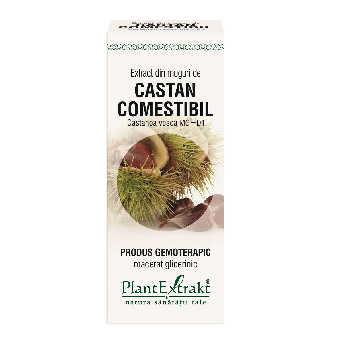 Extract din muguri de castan comestibil, 50 ml, Plantextrakt