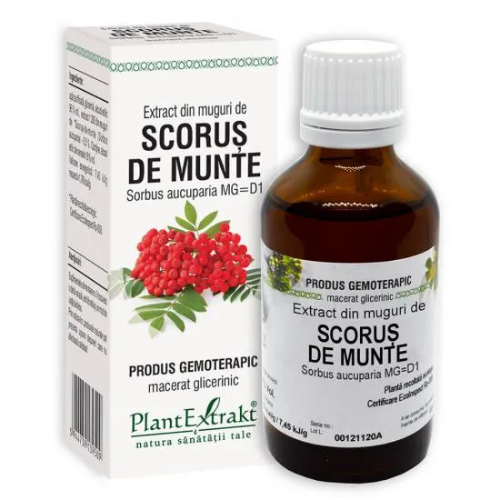 Plant E Extract Muguri de Scorus de Munte 50ml