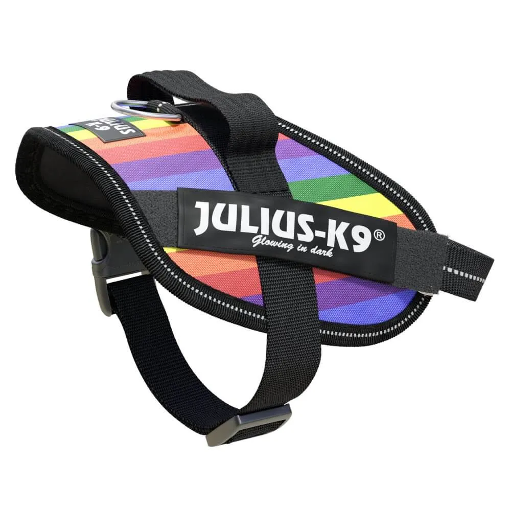 Ham JK9 IDC Power - XS - Curcubeu