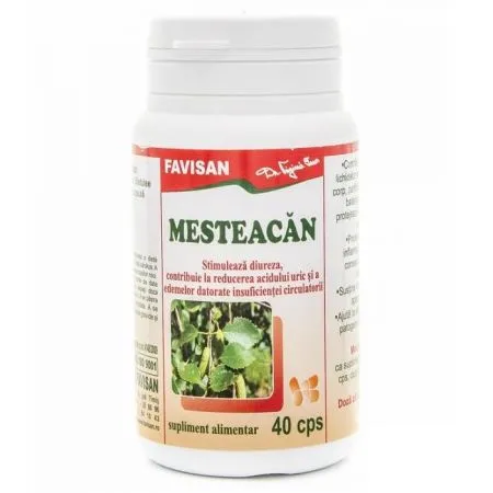 Mesteacan, 40 capsule, Favisan