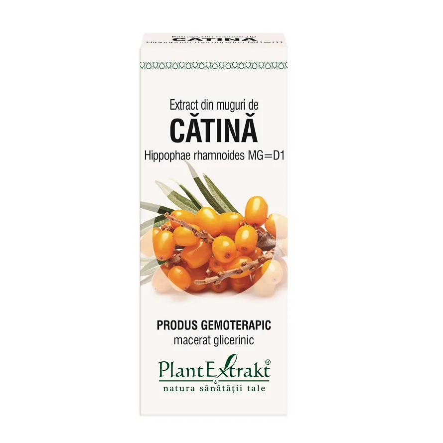 Extract din muguri de catina, 50 ml, Plantextrakt