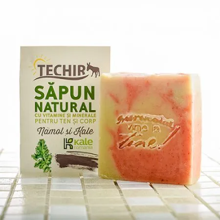 Sapun natural cu pudra de Kale si namol, 120 g, Techir
