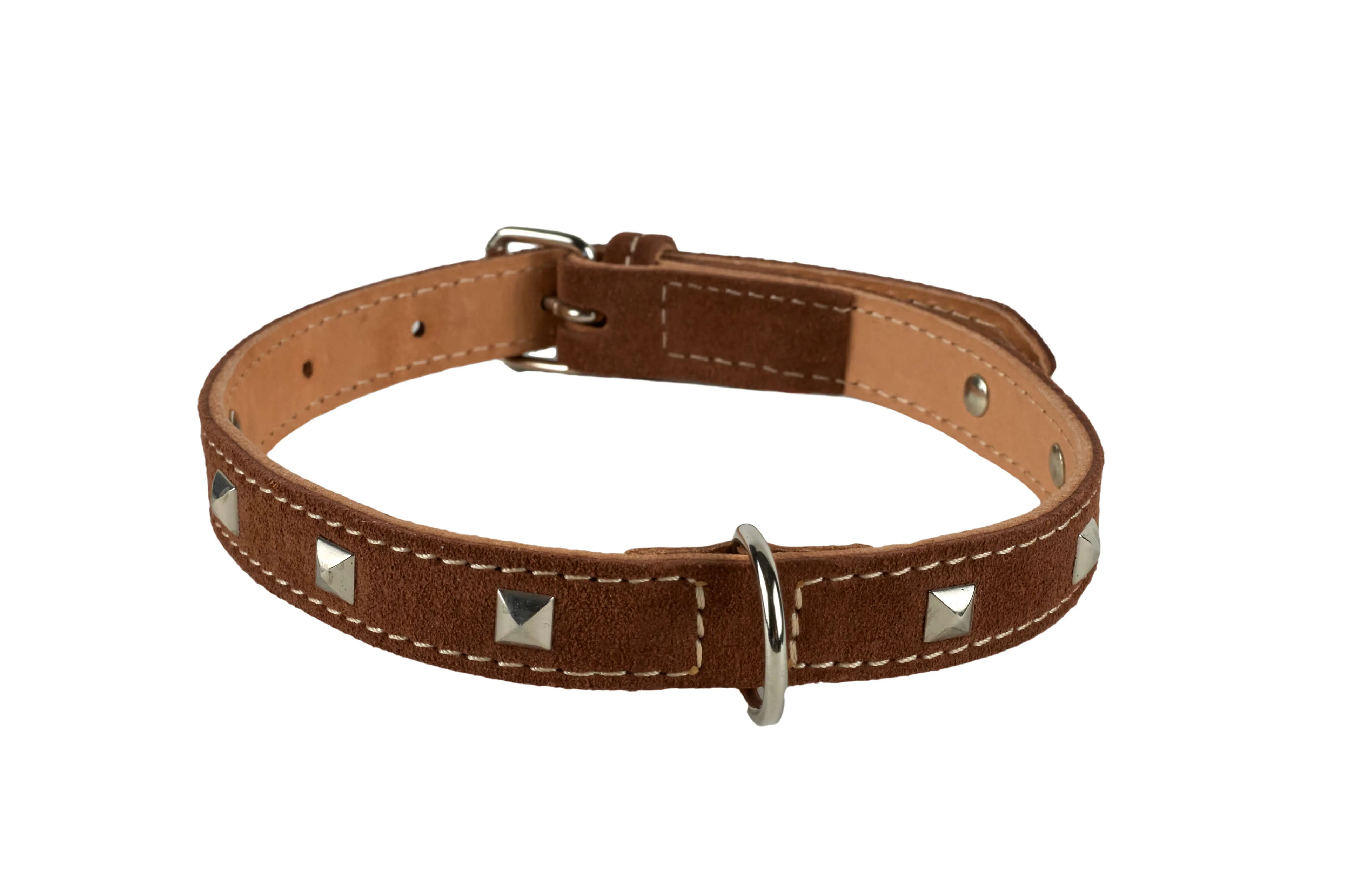 Zgarda piele cu tinte- 5868