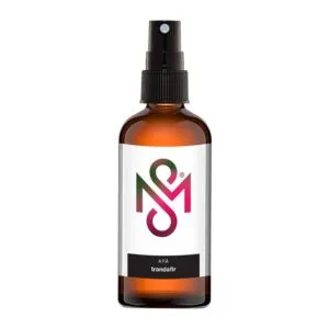 Apa de Trandafiri x 100ml (Mistique Seeds)