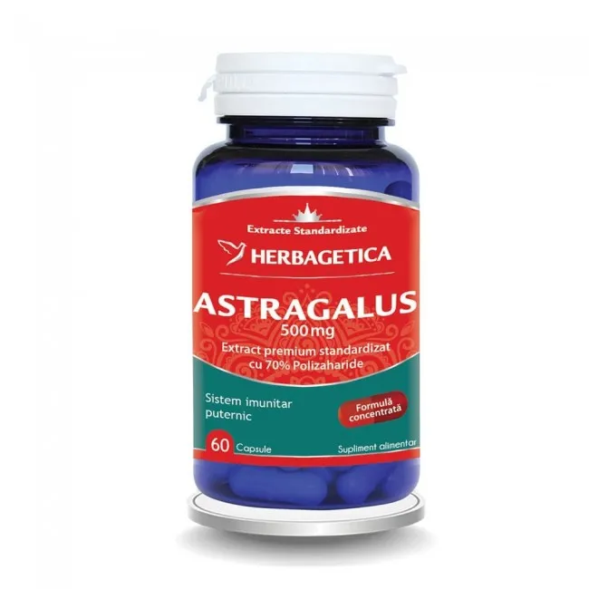 Astragalus 500mg, 60 capsule, Herbagetica
