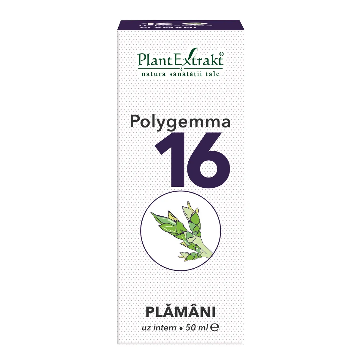 Polygemma 16 Plamani, 50 ml, Plantextrakt