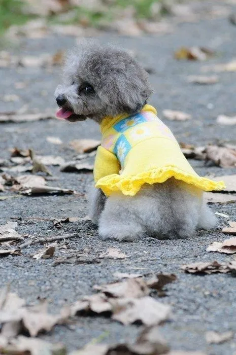 Pulover rochita tricotata - Dolly - 7237