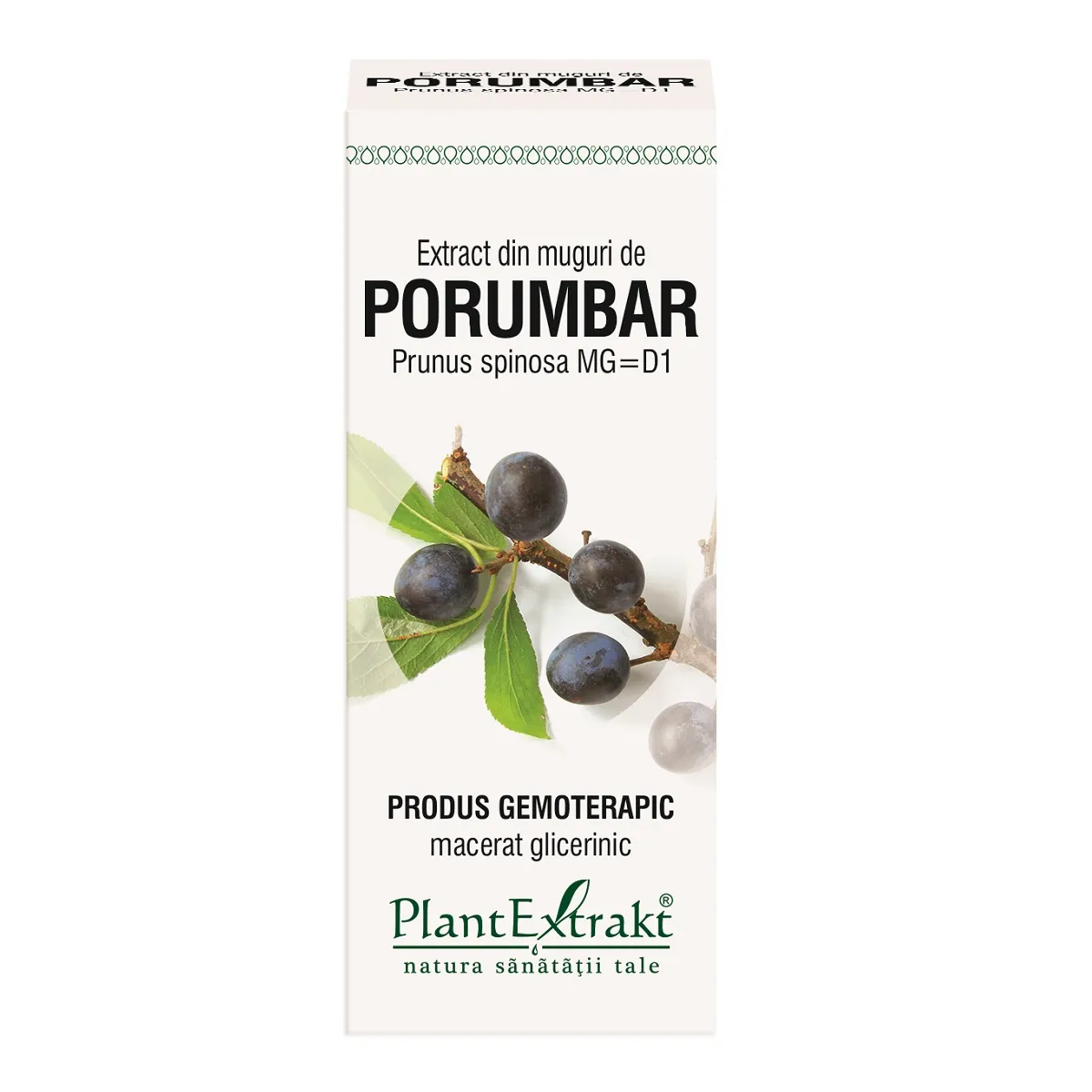 Extract din muguri de porumbar, 50 ml, Plantextrakt