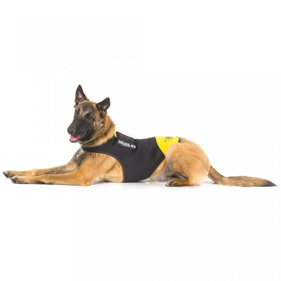 Vesta neopren Julius K9 - M - Galben