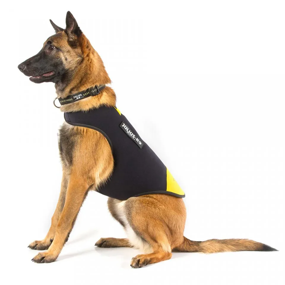 Vesta neopren Julius K9 - L - Galben