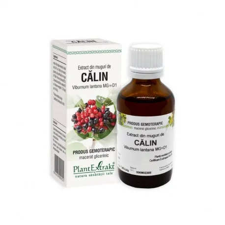 Extract din muguri de CALIN, 50 ml