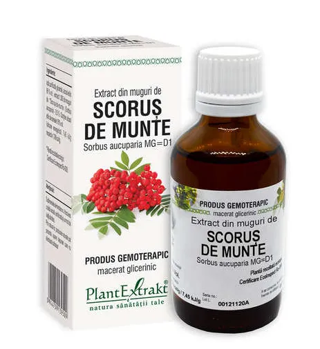 Extract din muguri de scorus de munte, 50 ml, Plantextrakt