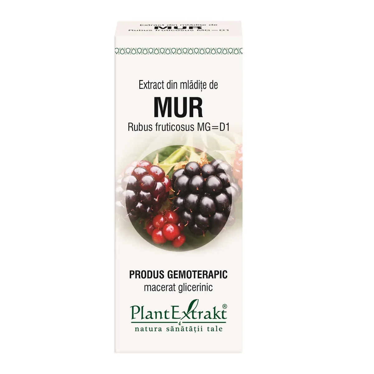 Extract din mladite de mur, 50 ml, Plantextrakt