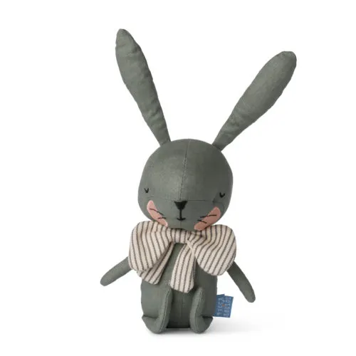 iFamily Iepure verde in cutie cadou 18cm