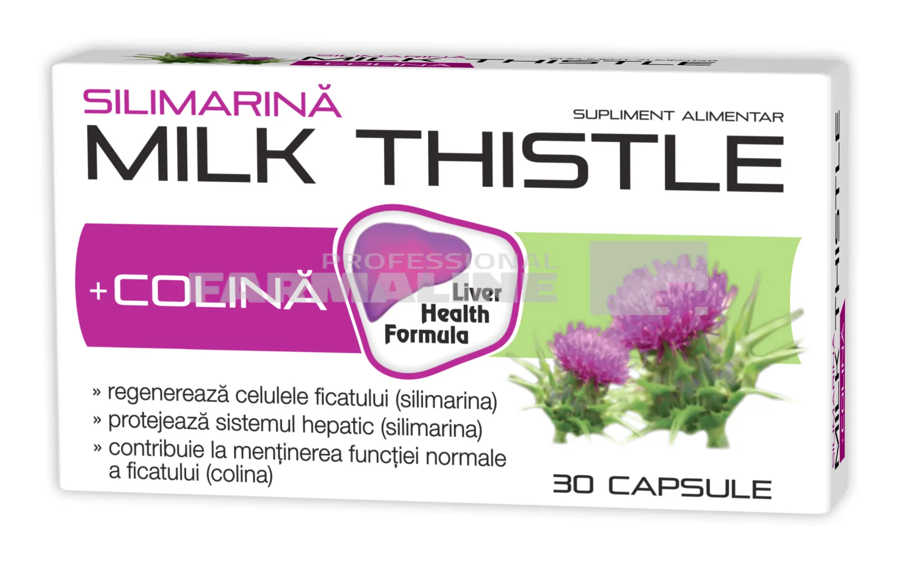 Silimarina Milk Thistle + Colina 1000 mg 30 capsule