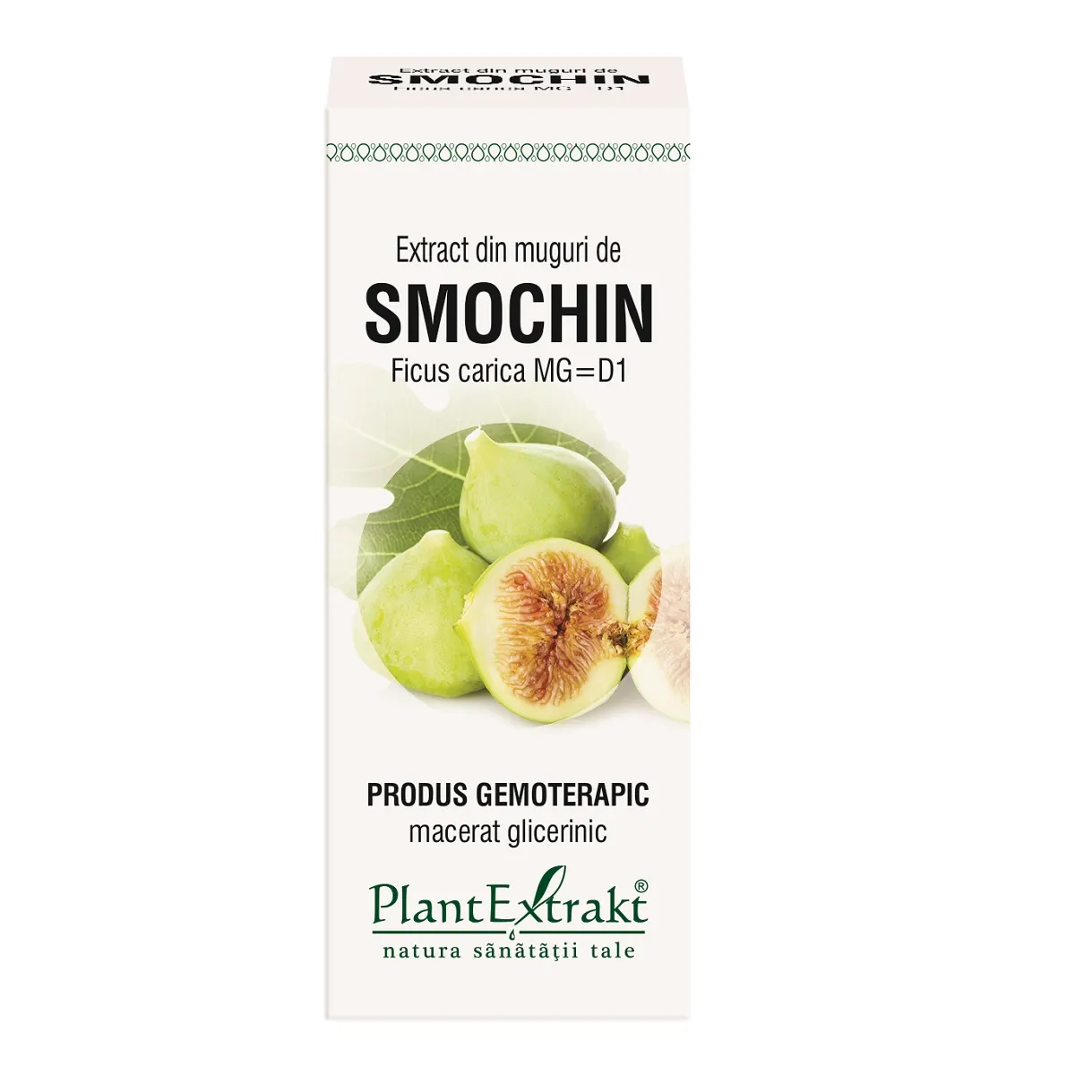 Extract din muguri de smochin, 50 ml, Plantextrakt
