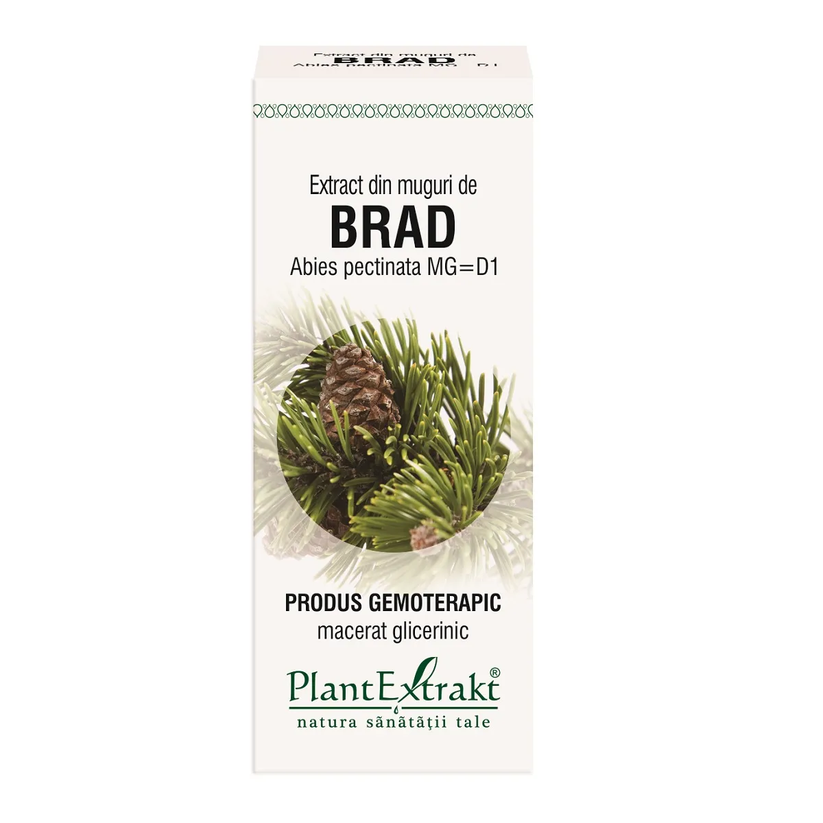 Plant E Extract Muguri de Brad