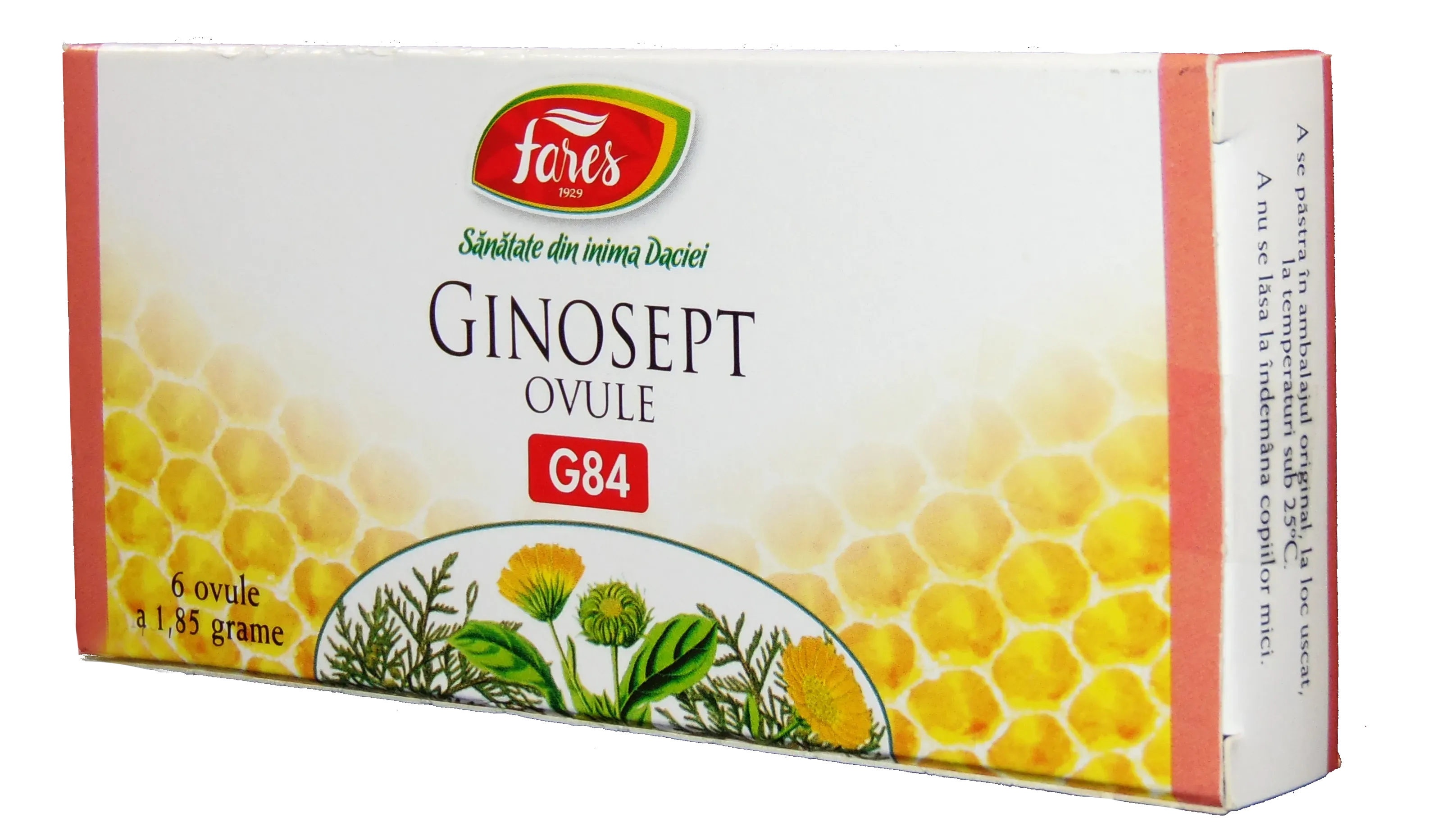 Fares Ginosept x 6 ovule