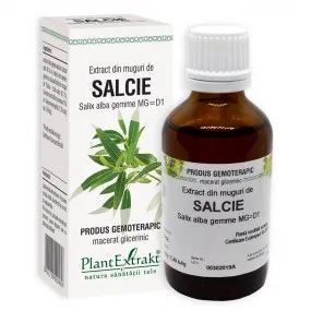 Extract din muguri de salcie, 50 ml, Plantextrakt