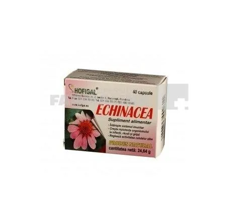 Echinacea 500 mg 40 capsule