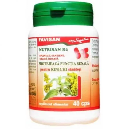 Nutrisan R2, 40 capsule, Favisan