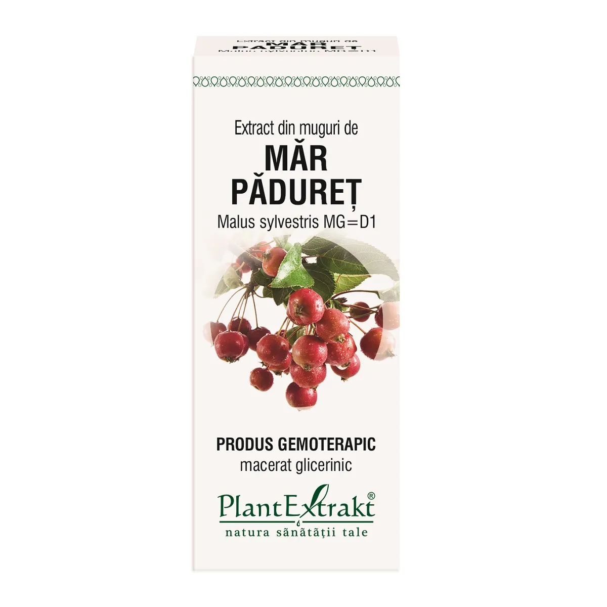 Extract din muguri de mar paduret, 50 ml, Plantextrakt